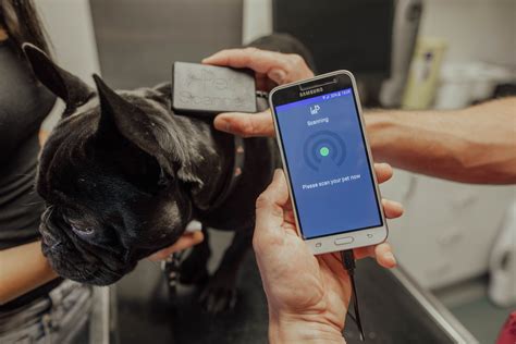 can you track your dog with a rfid|dog microchip vs dog tracker.